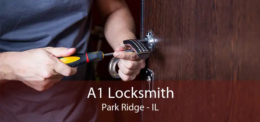 A1 Locksmith Park Ridge - IL