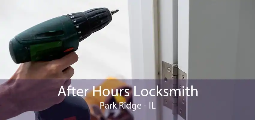 After Hours Locksmith Park Ridge - IL