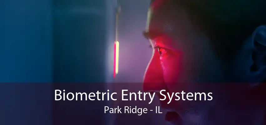 Biometric Entry Systems Park Ridge - IL