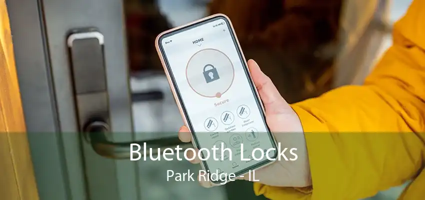 Bluetooth Locks Park Ridge - IL