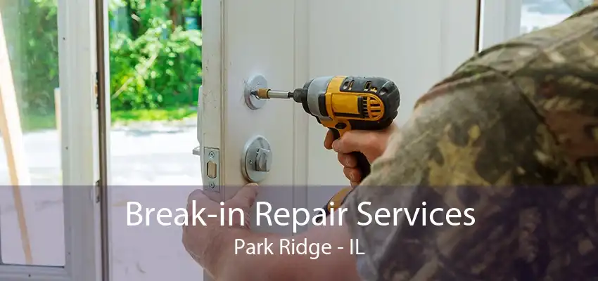 Break-in Repair Services Park Ridge - IL