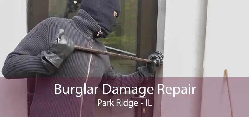 Burglar Damage Repair Park Ridge - IL