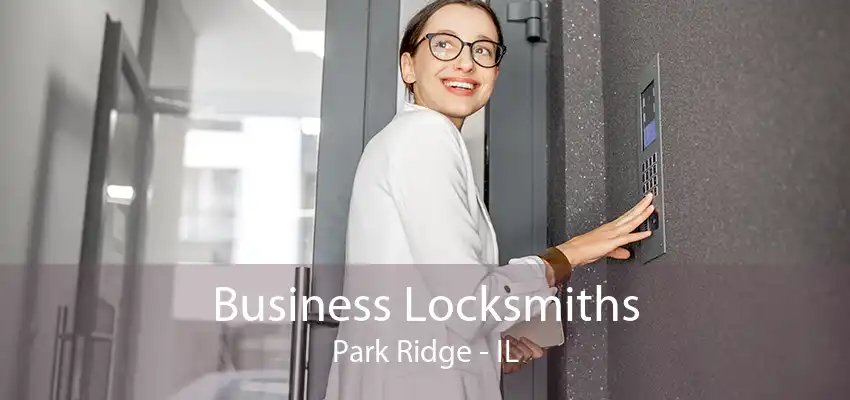 Business Locksmiths Park Ridge - IL