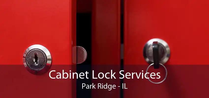 Cabinet Lock Services Park Ridge - IL