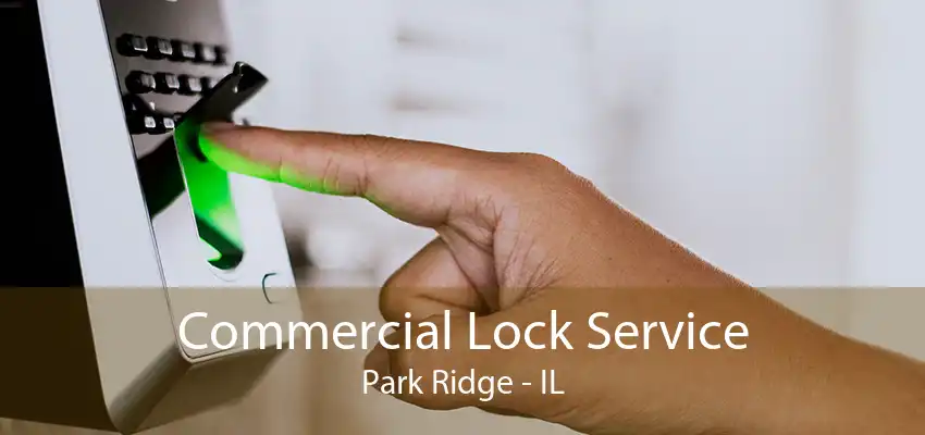 Commercial Lock Service Park Ridge - IL