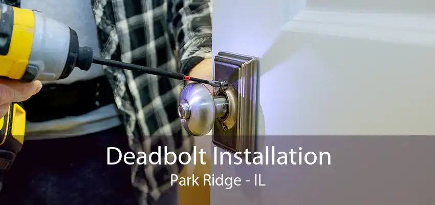 Deadbolt Installation Park Ridge - IL