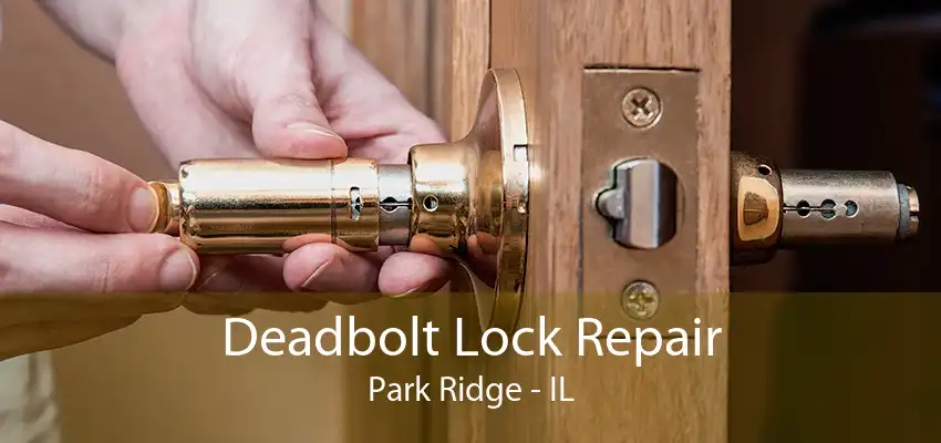 Deadbolt Lock Repair Park Ridge - IL