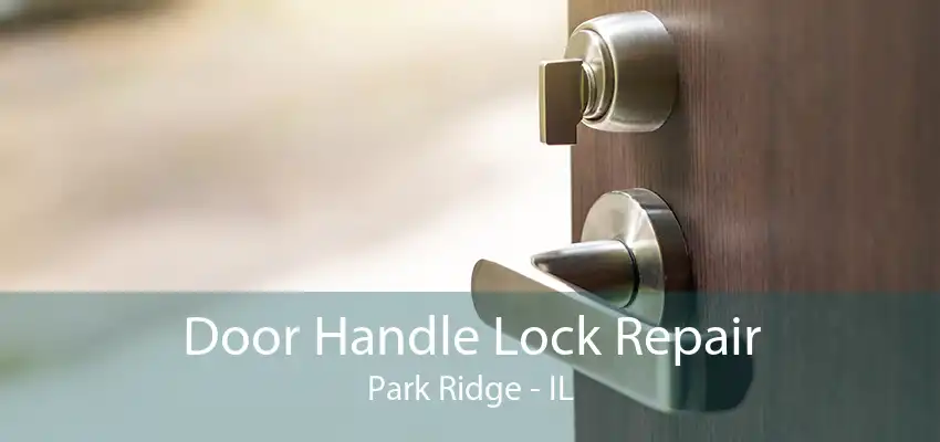 Door Handle Lock Repair Park Ridge - IL