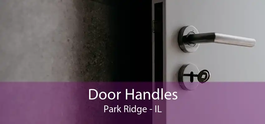 Door Handles Park Ridge - IL