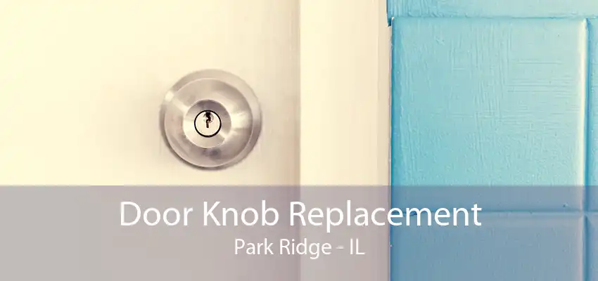 Door Knob Replacement Park Ridge - IL