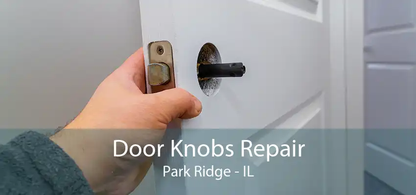 Door Knobs Repair Park Ridge - IL