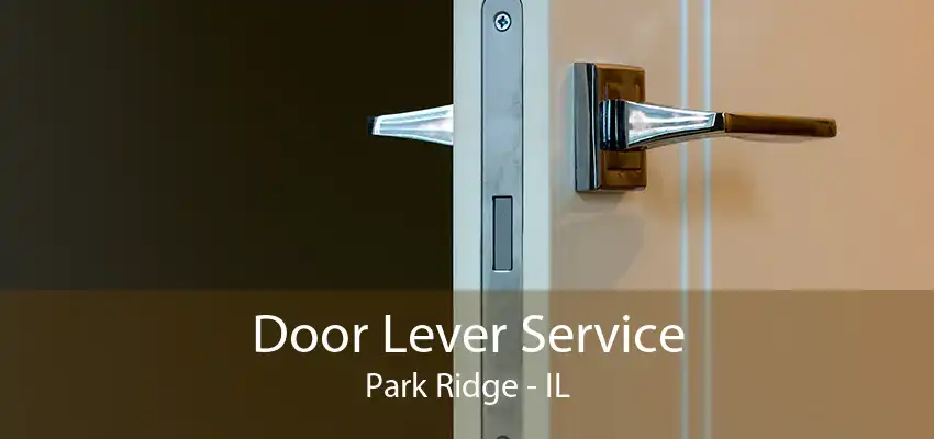 Door Lever Service Park Ridge - IL