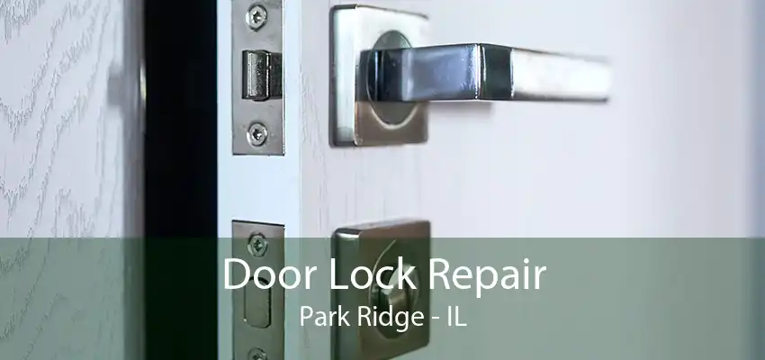 Door Lock Repair Park Ridge - IL