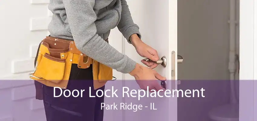 Door Lock Replacement Park Ridge - IL