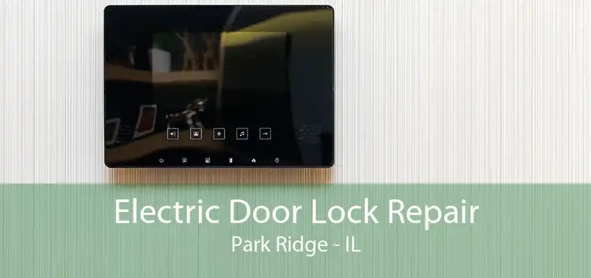 Electric Door Lock Repair Park Ridge - IL