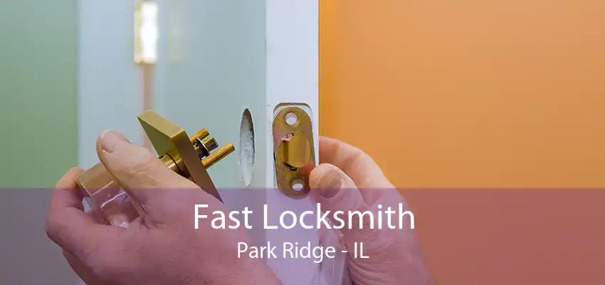 Fast Locksmith Park Ridge - IL