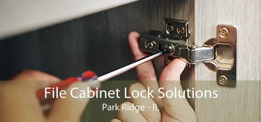 File Cabinet Lock Solutions Park Ridge - IL