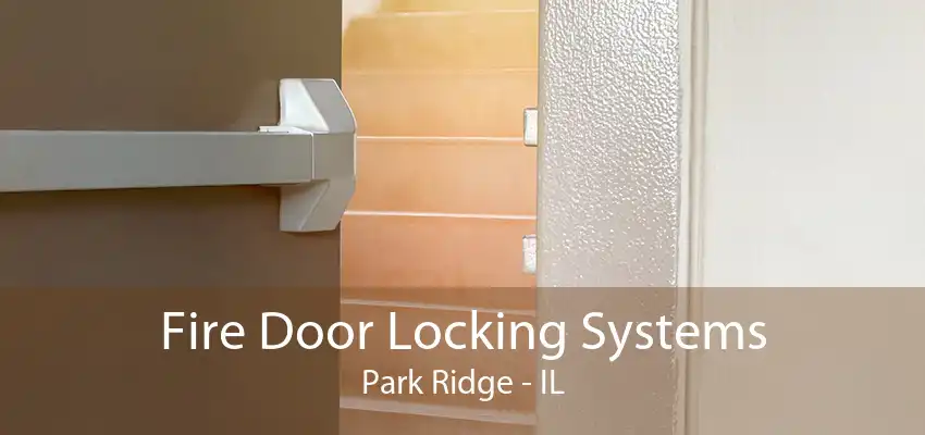 Fire Door Locking Systems Park Ridge - IL