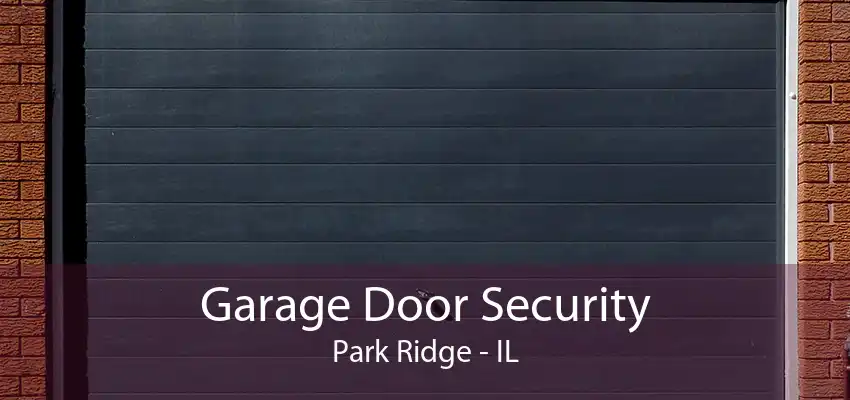 Garage Door Security Park Ridge - IL