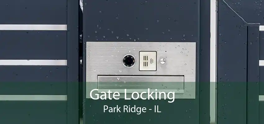 Gate Locking Park Ridge - IL