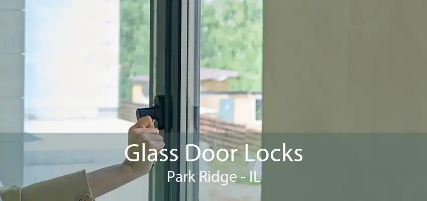 Glass Door Locks Park Ridge - IL