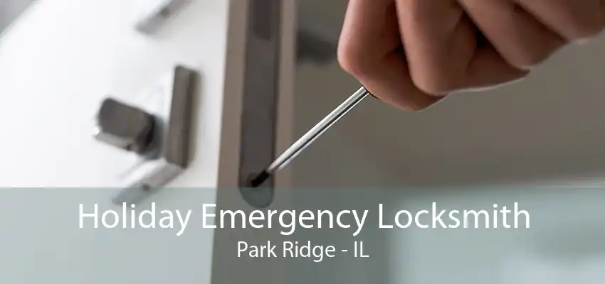 Holiday Emergency Locksmith Park Ridge - IL