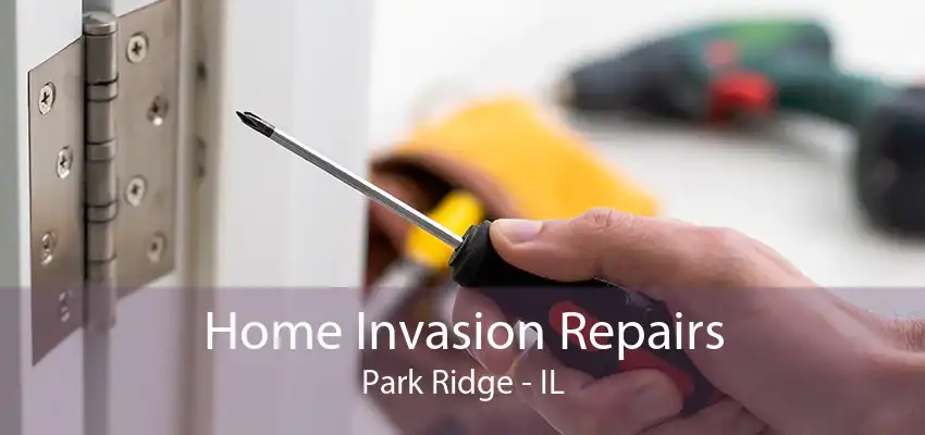 Home Invasion Repairs Park Ridge - IL