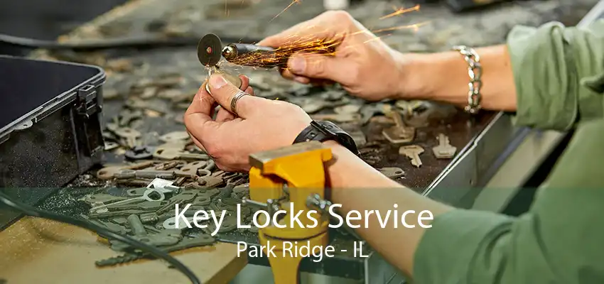 Key Locks Service Park Ridge - IL