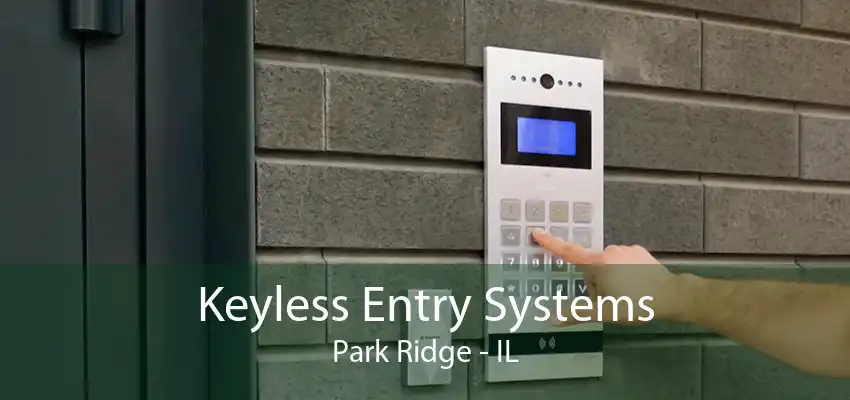 Keyless Entry Systems Park Ridge - IL