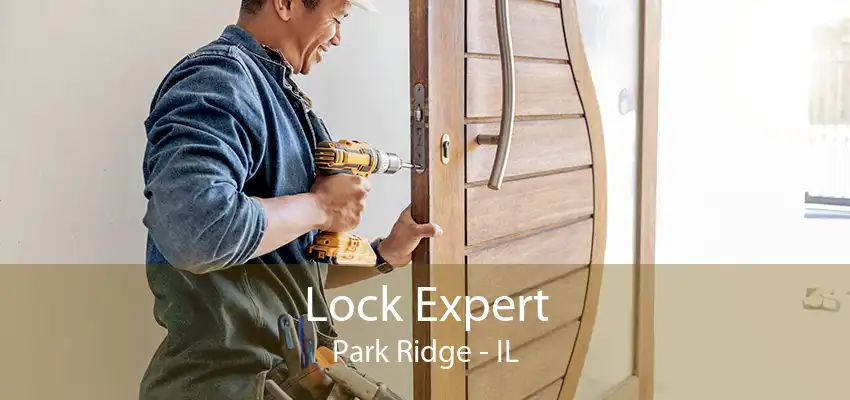 Lock Expert Park Ridge - IL