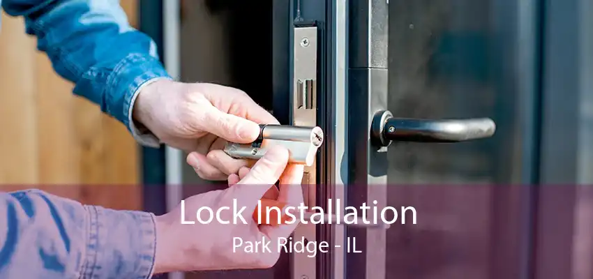 Lock Installation Park Ridge - IL