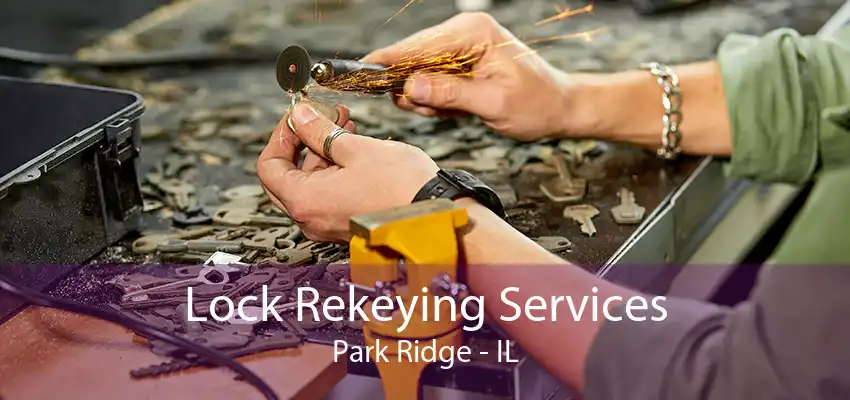 Lock Rekeying Services Park Ridge - IL