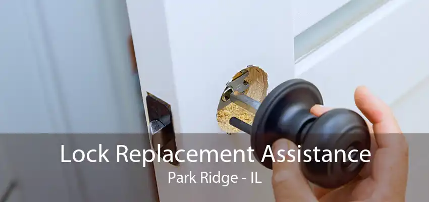 Lock Replacement Assistance Park Ridge - IL