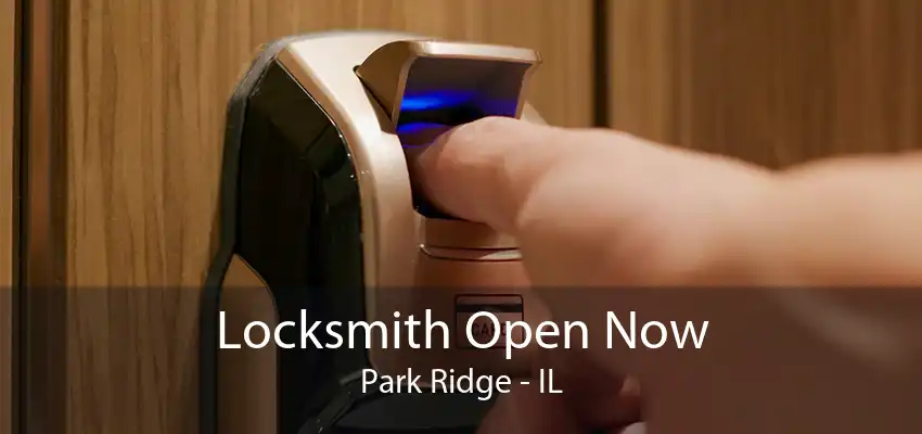 Locksmith Open Now Park Ridge - IL