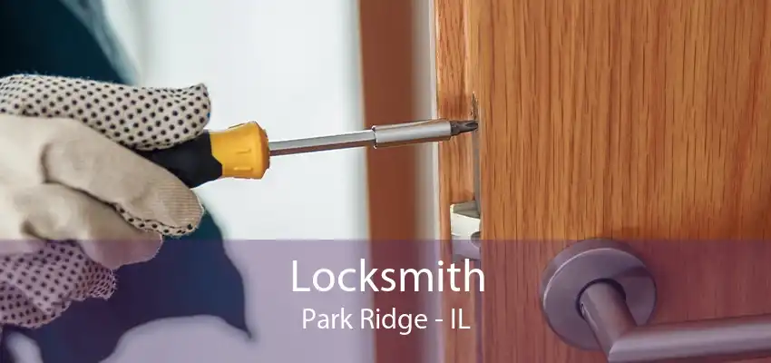 Locksmith Park Ridge - IL