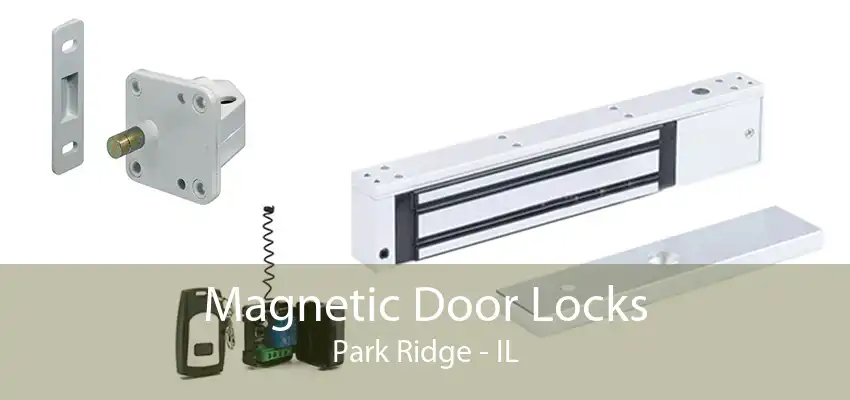 Magnetic Door Locks Park Ridge - IL