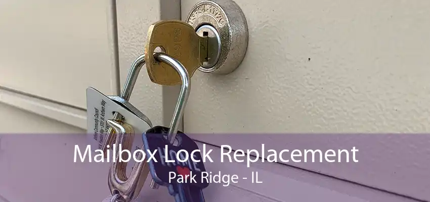 Mailbox Lock Replacement Park Ridge - IL