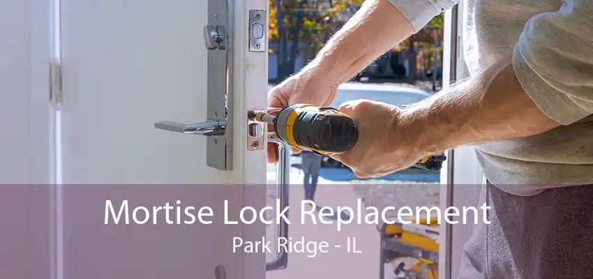 Mortise Lock Replacement Park Ridge - IL