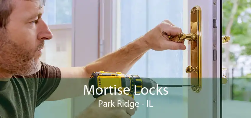 Mortise Locks Park Ridge - IL