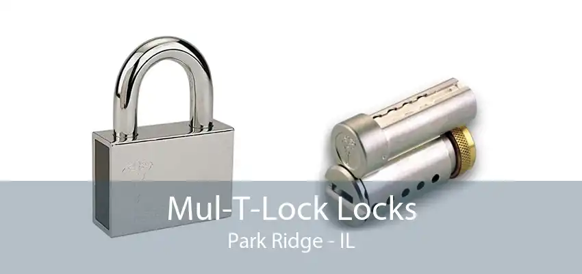 Mul-T-Lock Locks Park Ridge - IL