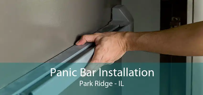 Panic Bar Installation Park Ridge - IL