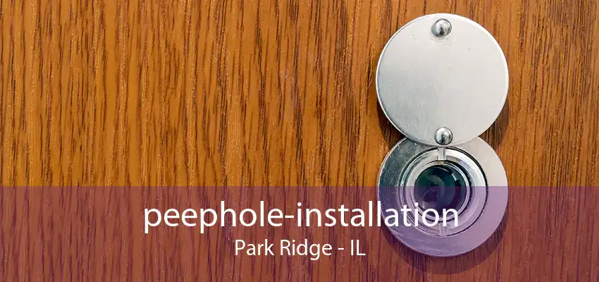 peephole-installation Park Ridge - IL