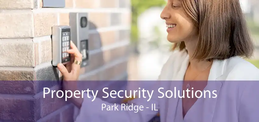 Property Security Solutions Park Ridge - IL