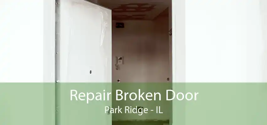 Repair Broken Door Park Ridge - IL