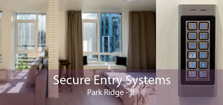 Secure Entry Systems Park Ridge - IL