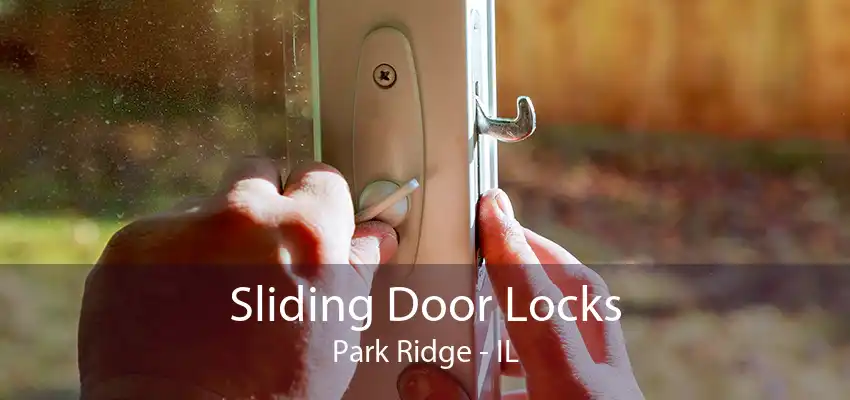 Sliding Door Locks Park Ridge - IL