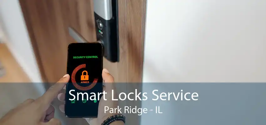 Smart Locks Service Park Ridge - IL