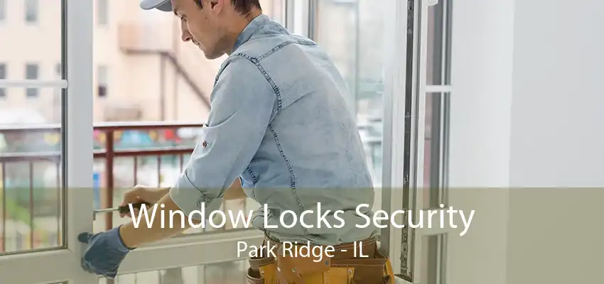 Window Locks Security Park Ridge - IL